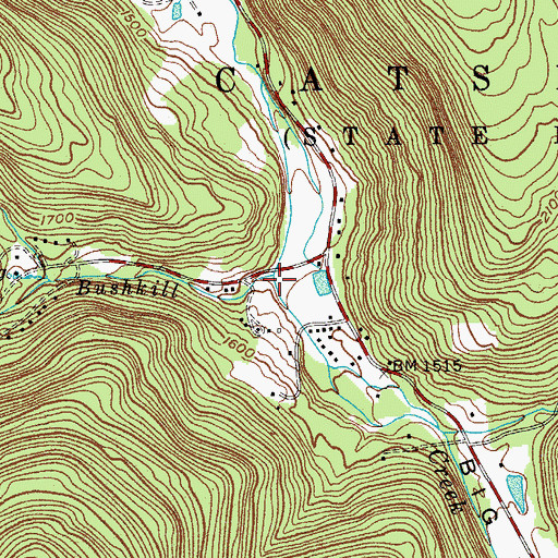 Topographic Map of Elk Bushkill, NY