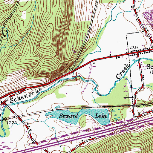 Topographic Map of Elk Creek, NY