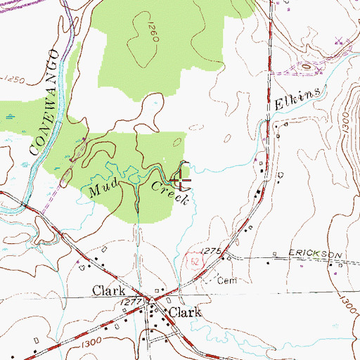 Topographic Map of Elkins Brook, NY