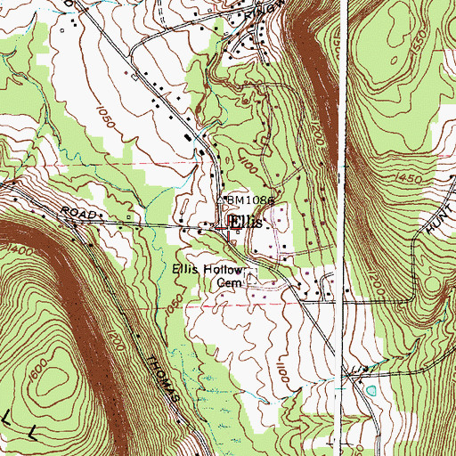 Topographic Map of Ellis, NY