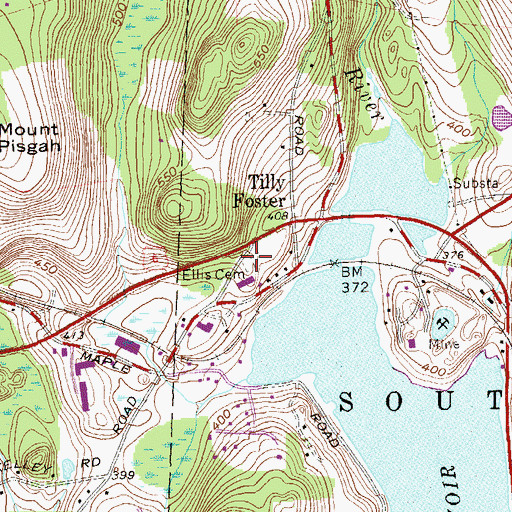 Topographic Map of Ellis Cemetery, NY