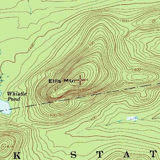 Topographic Map of Ellis Mountain, NY