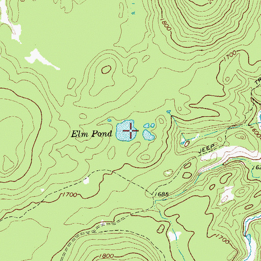 Topographic Map of Elm Pond, NY