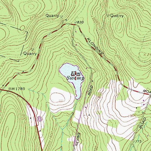 Topographic Map of Elm Swamp, NY