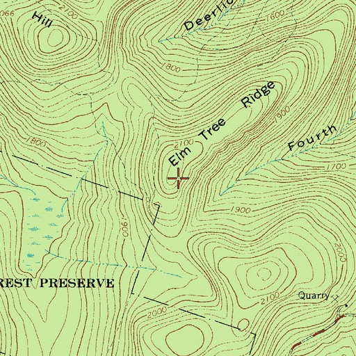 Topographic Map of Elm Tree Ridge, NY