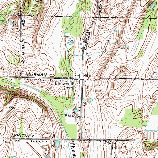 Topographic Map of Elmwood Cemetery, NY