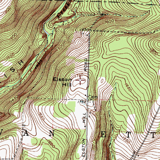 Topographic Map of Elston Hill, NY
