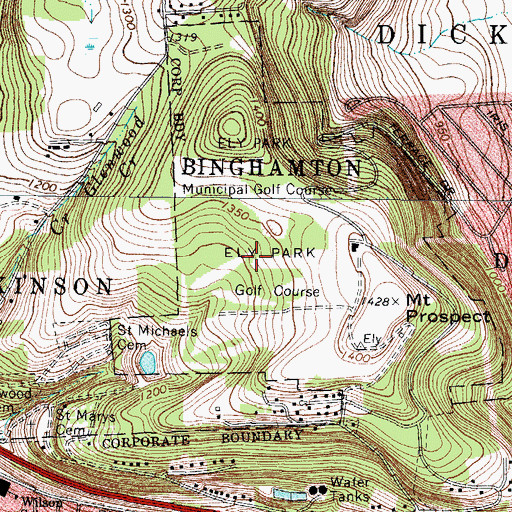 Topographic Map of Ely Park, NY