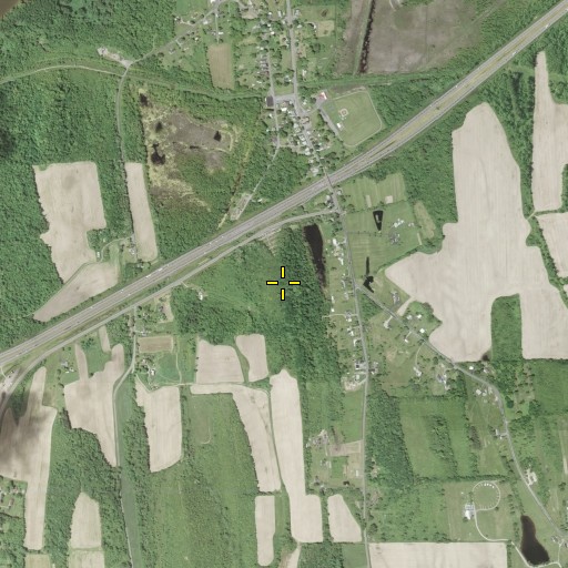 Aerial/Satellite Image of Emerson Hill, NY
