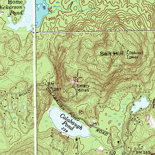 Topographic Map of Emery Mines, NY