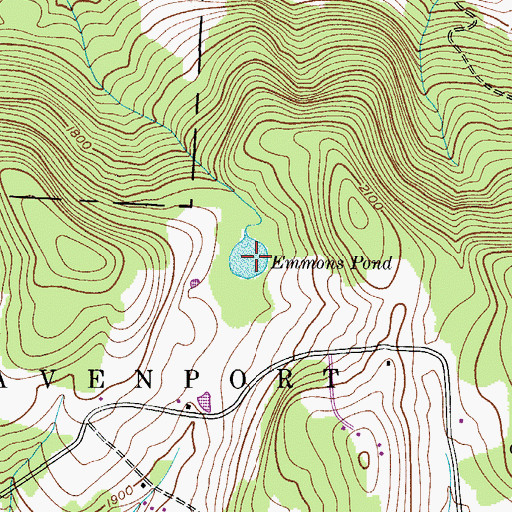 Topographic Map of Emmons Pond, NY
