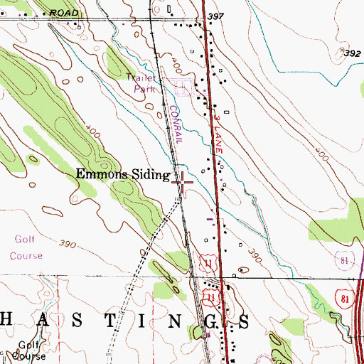 Topographic Map of Emmons Siding, NY