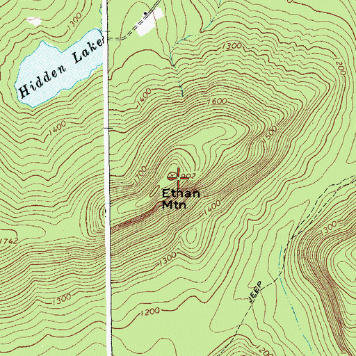 Topographic Map of Ethan Mountain, NY