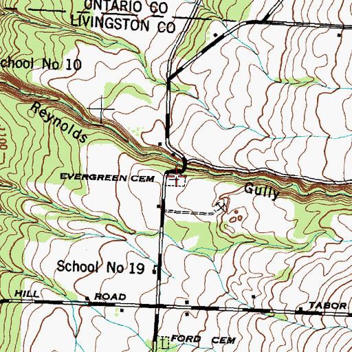 Topographic Map of Evergreen Cemetery, NY