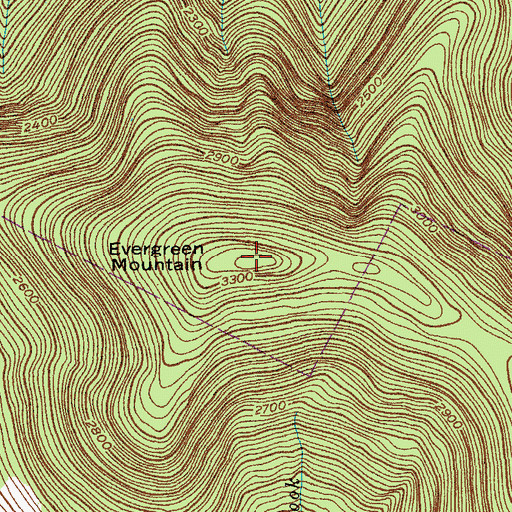 Topographic Map of Evergreen Mountain, NY