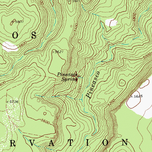 Topographic Map of Pineasco Spring, AZ