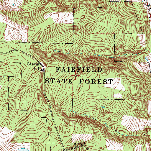 Topographic Map of Fairfield State Forest, NY