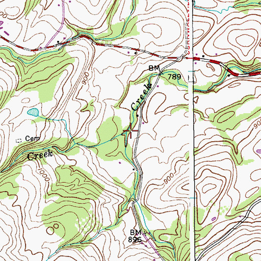Topographic Map of Fall Creek, NY