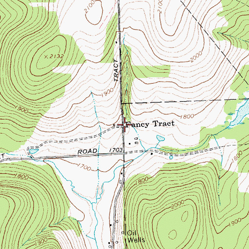 Topographic Map of Fancy Tract, NY