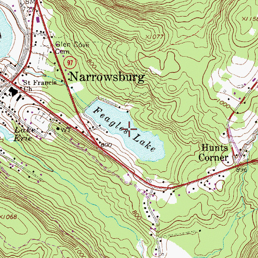 Topographic Map of Feagles Lake, NY