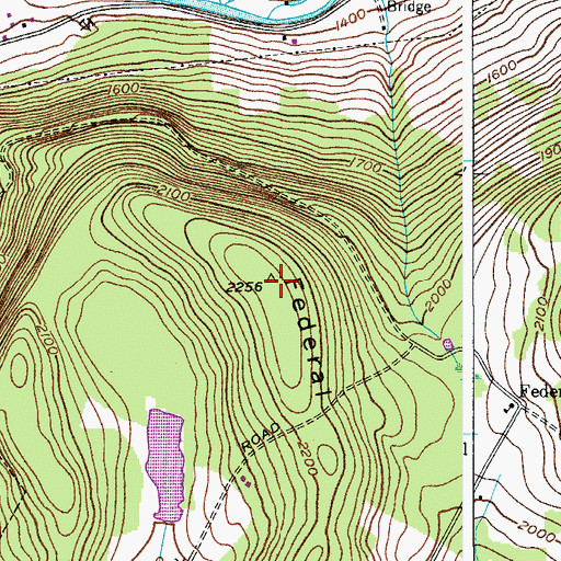 Topographic Map of Federal Hill, NY