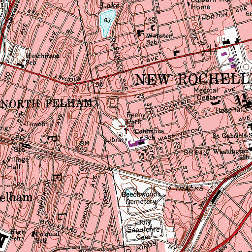 Topographic Map of Feeny Park, NY