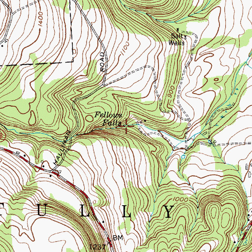 Topographic Map of Fellows Falls, NY