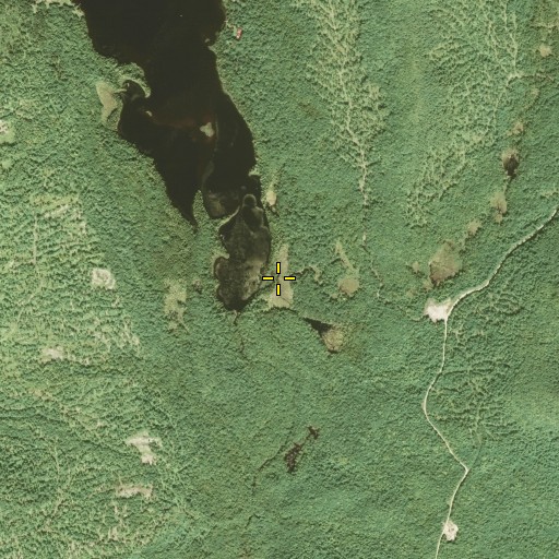 Aerial/Satellite Image of Fender Brook, NY
