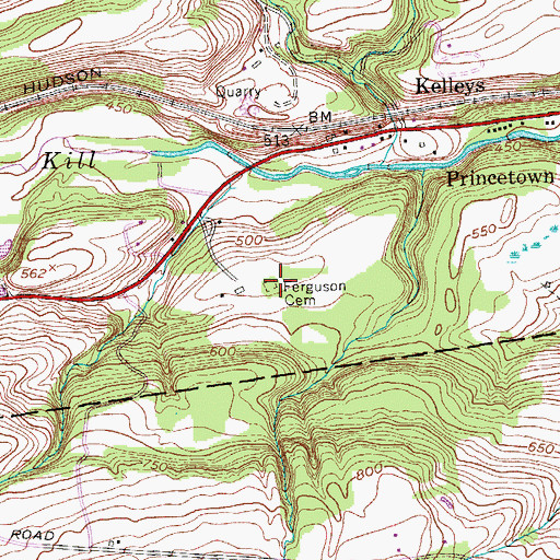 Topographic Map of Ferguson Cemetery, NY