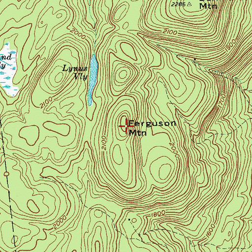 Topographic Map of Ferguson Mountain, NY