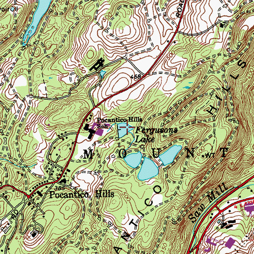 Topographic Map of Fergusons Lake, NY