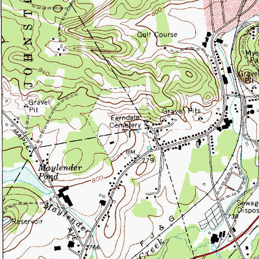 Topographic Map of Ferndale Cemetery, NY