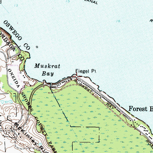 Topographic Map of Fiegel Point, NY