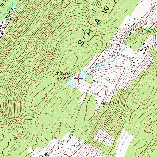 Topographic Map of Fiero Pond, NY