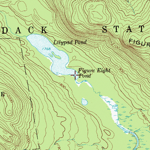 Topographic Map of Figure Eight Pond, NY