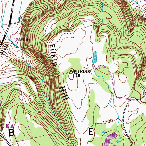 Topographic Map of Filkin Hill, NY