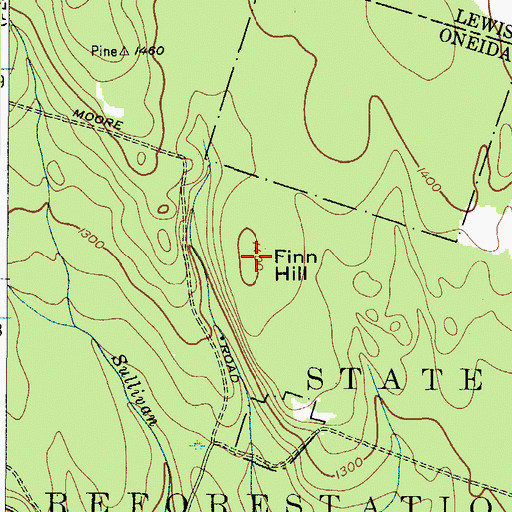 Topographic Map of Finn Hill, NY