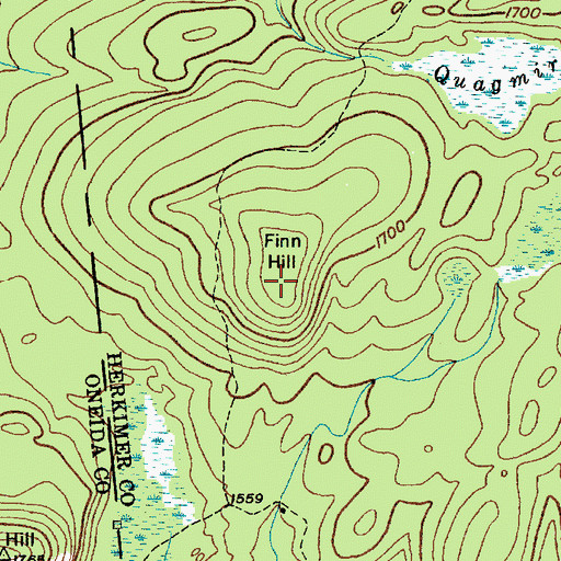 Topographic Map of Finn Hill, NY