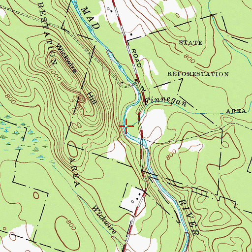 Topographic Map of Finnegan Brook, NY
