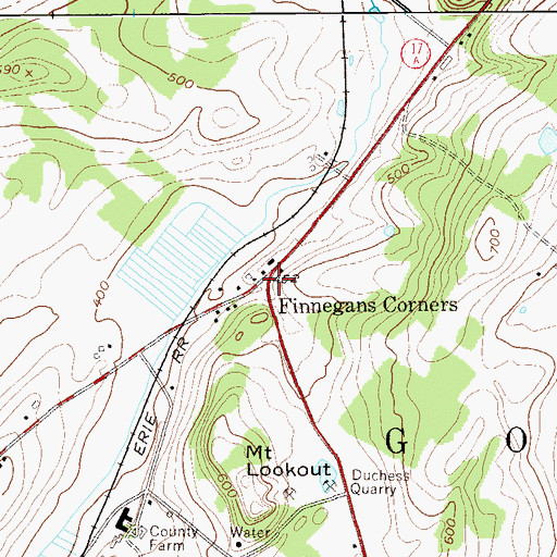 Topographic Map of Finnegans Corners, NY
