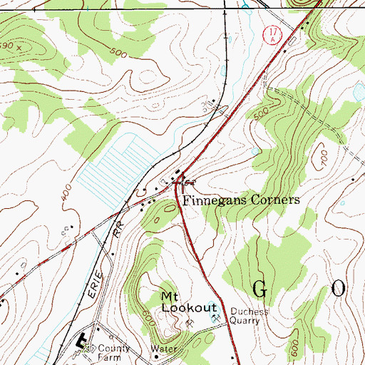 Topographic Map of Finnegans Corners, NY