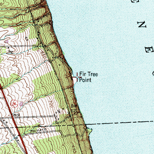 Topographic Map of Fir Tree Point, NY