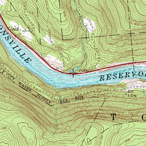 Topographic Map of Fish Brook, NY
