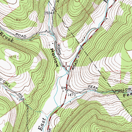 Topographic Map of Fish Hollow, NY