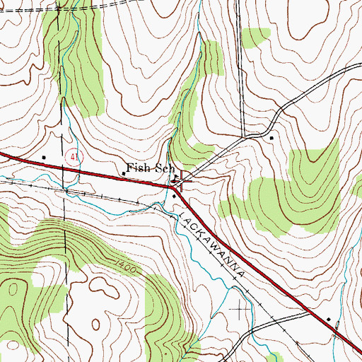 Topographic Map of Fish School, NY