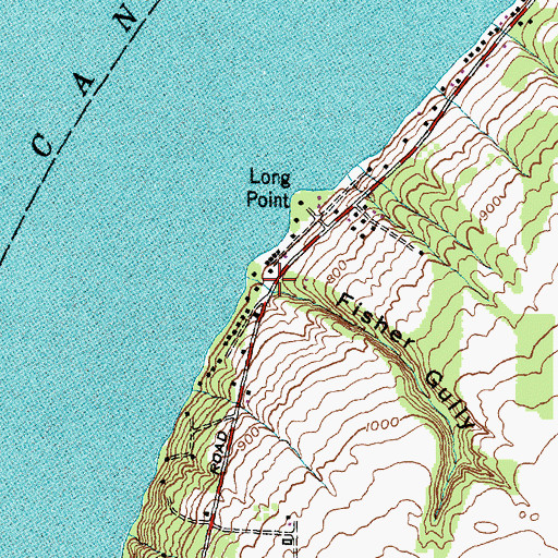 Topographic Map of Fisher Gully, NY