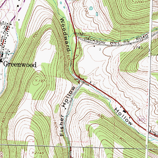 Topographic Map of Fisher Hollow, NY