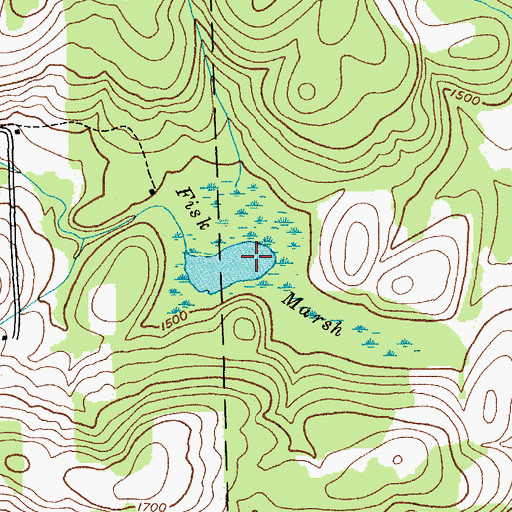 Topographic Map of Fisk Marsh, NY
