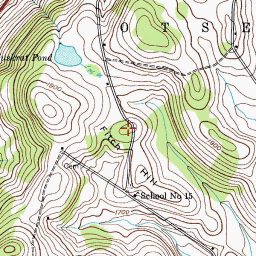 Topographic Map of Fitch Hill, NY