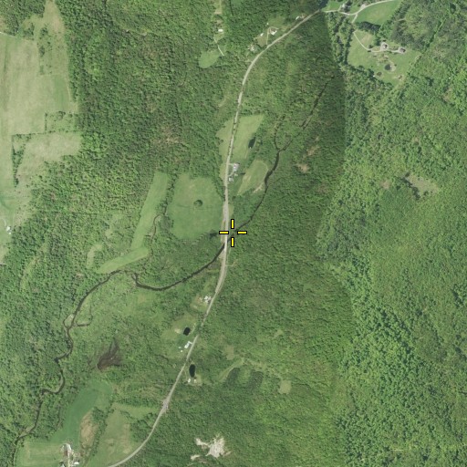 Aerial/Satellite Image of Five Streams, NY